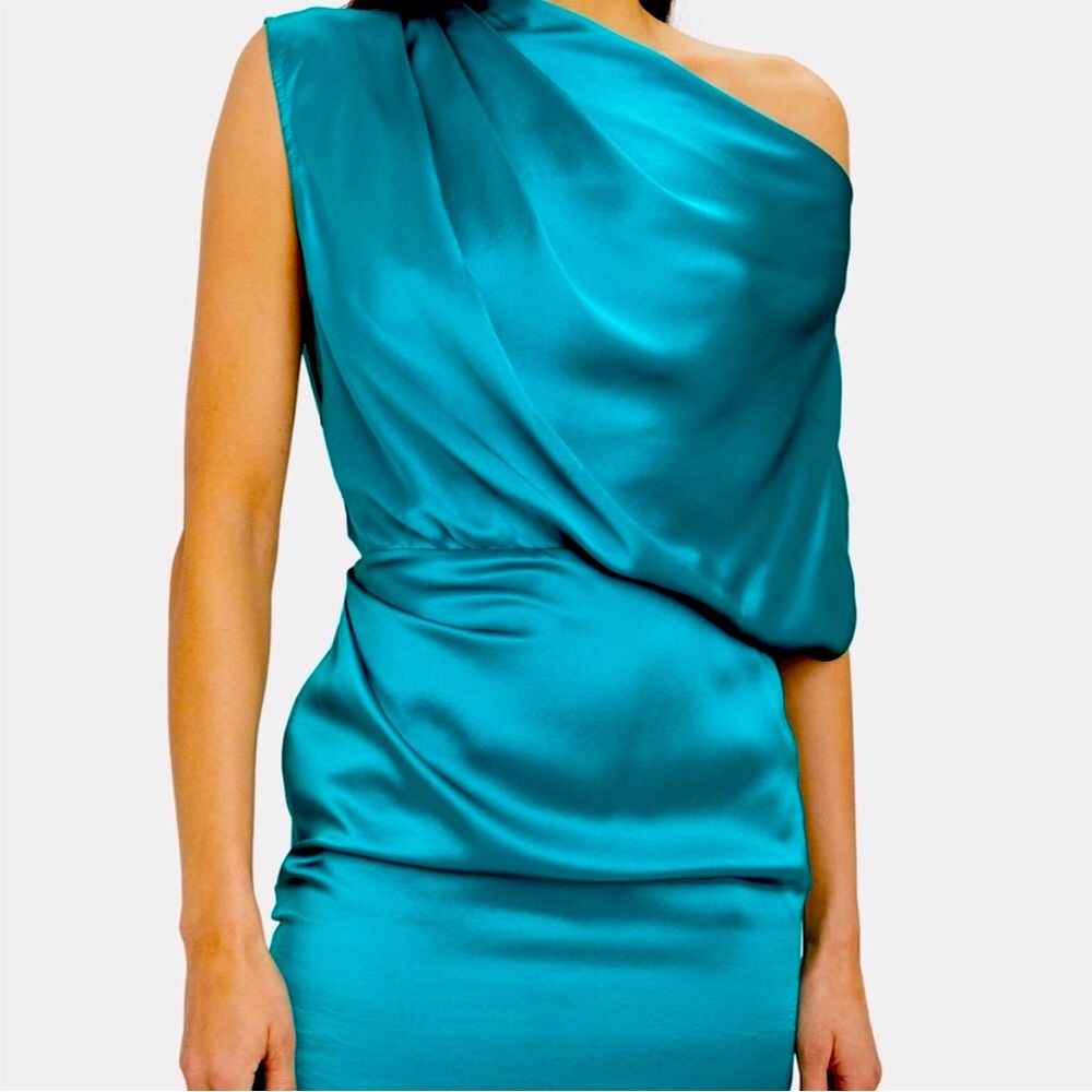 Michelle Mason Mini Dress
